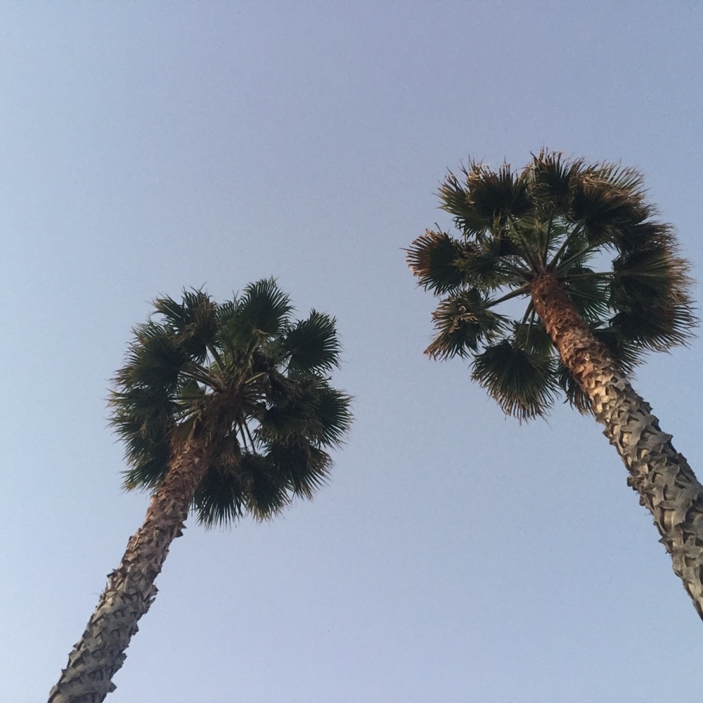 Meet your Posher, Kaitlin